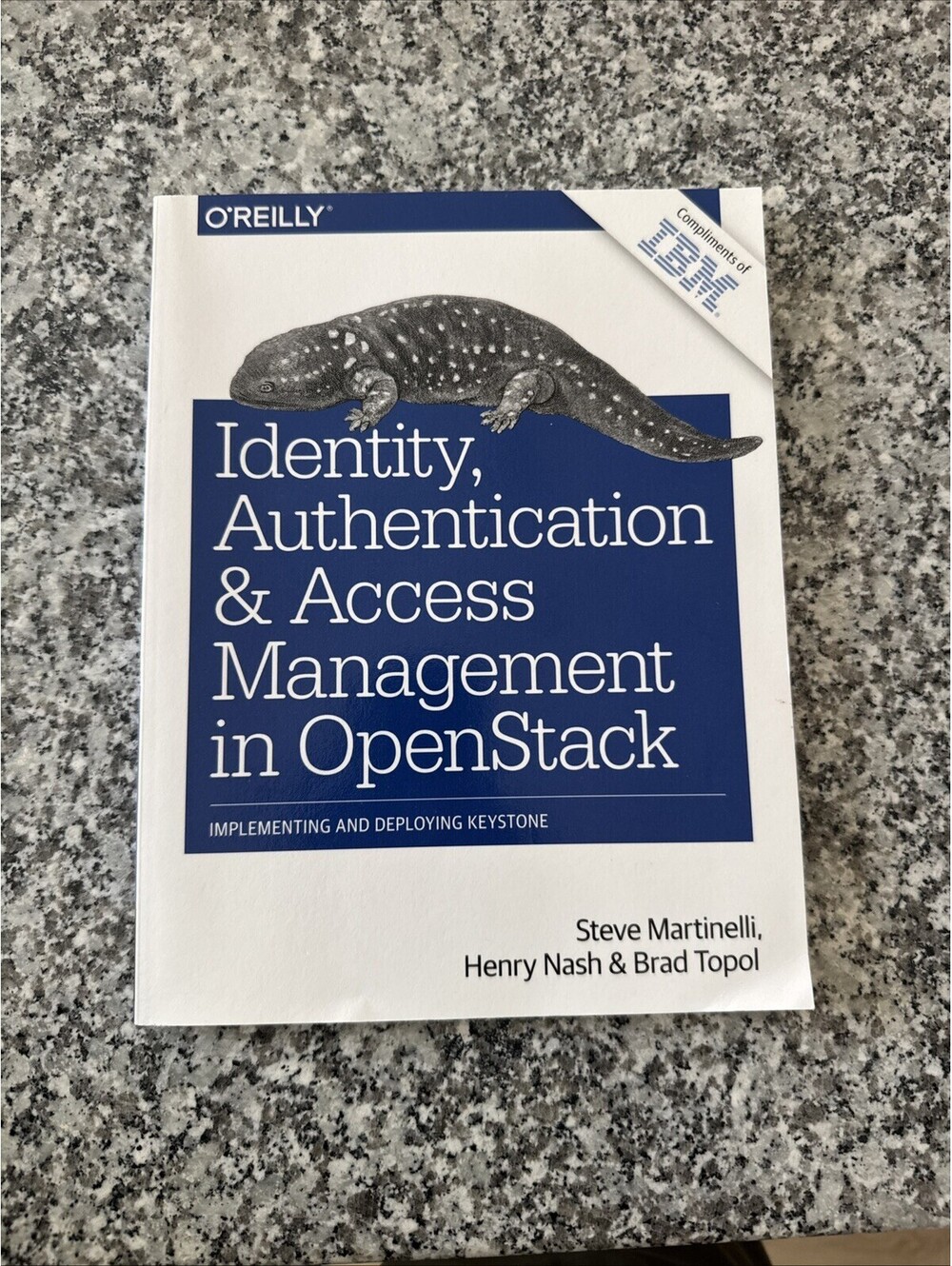IDENTITY, AUTHENTICATION, AND ACCESS MANAGEMENT IN By Steve Martinelli & Henry